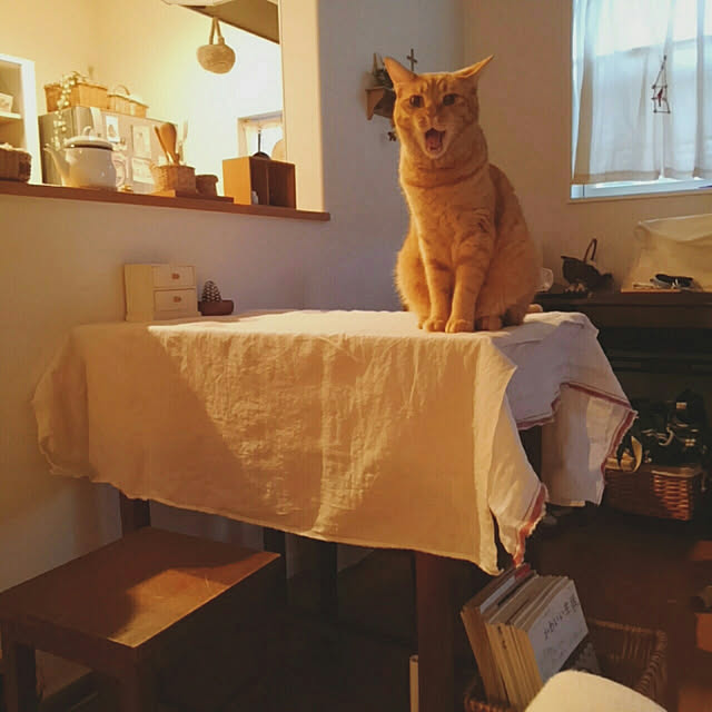 mayutan.さんの実例写真