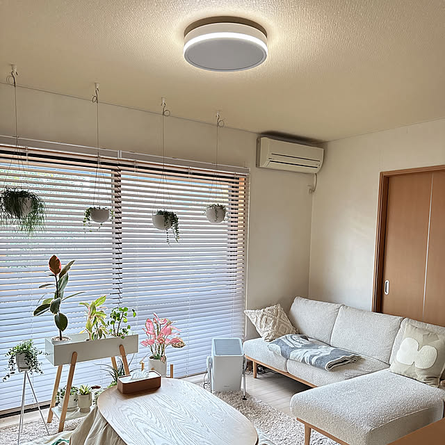 chinaさんの実例写真