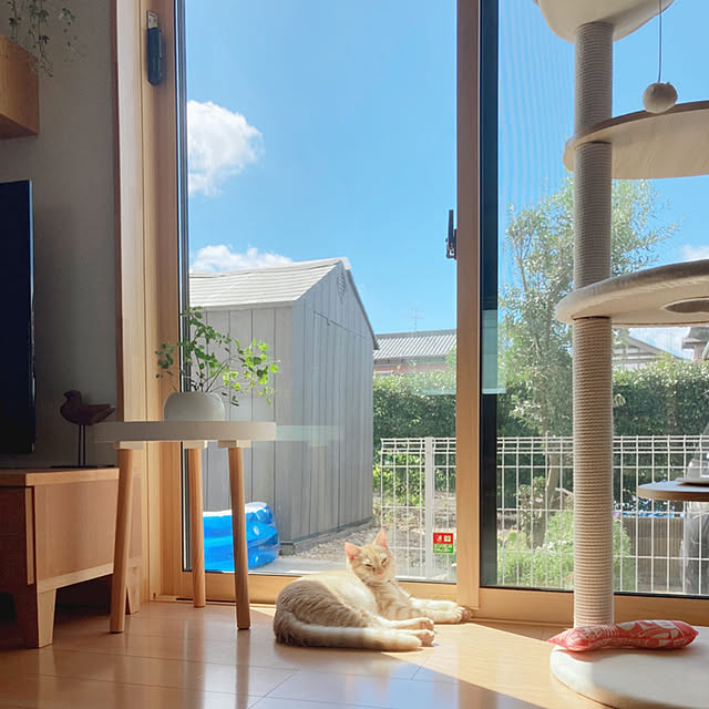m.k.mさんの実例写真