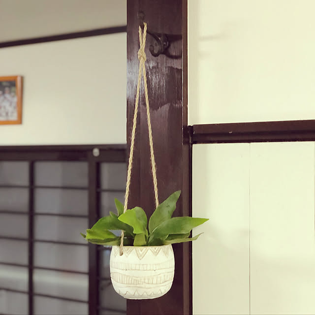 kotosukeさんの実例写真