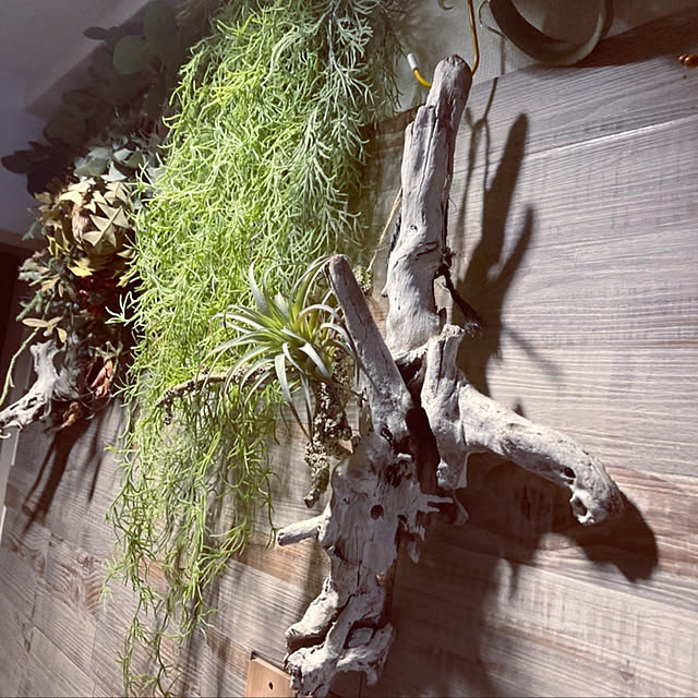 makiさんの実例写真