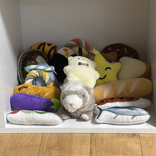 chillforemanpastlifeさんの部屋