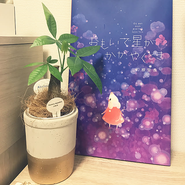 koppeさんの実例写真