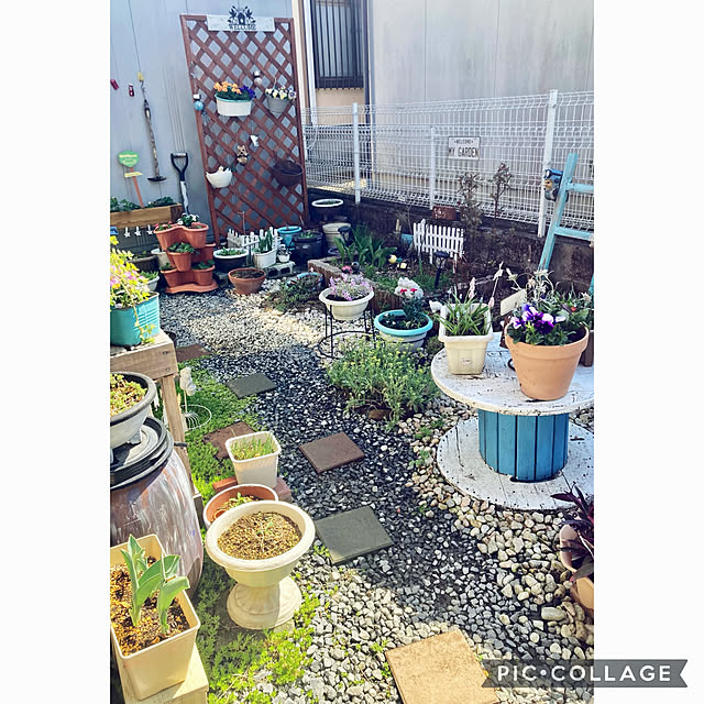 CoCo0617さんの実例写真