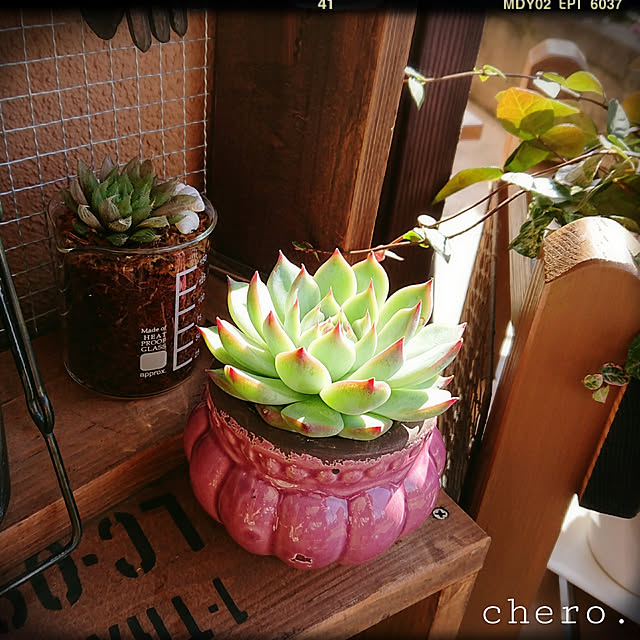 chero.さんの実例写真