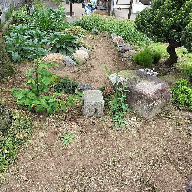 sumimarumiさんの部屋
