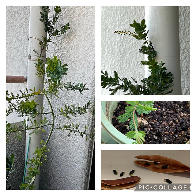 mizucchiさんの部屋