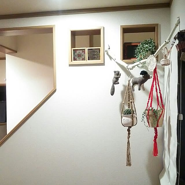 noriさんの実例写真