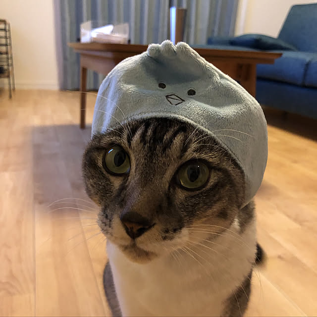 muuさんの実例写真