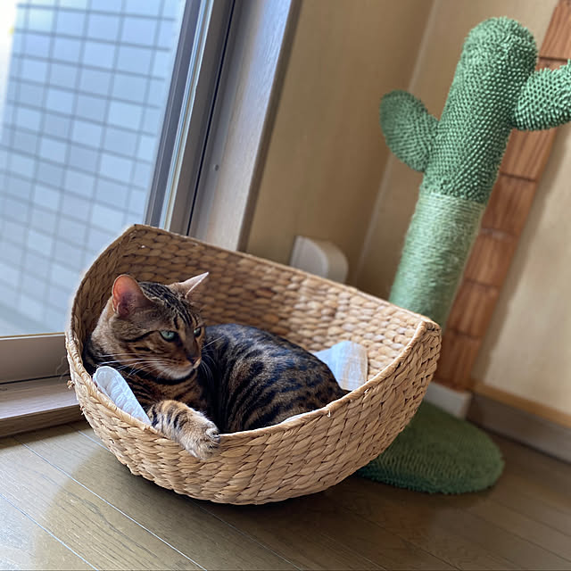yumuyumuさんの実例写真