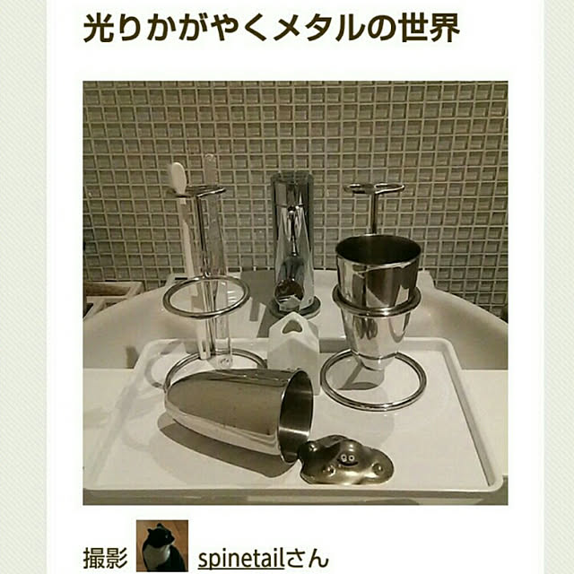spinetailさんの実例写真