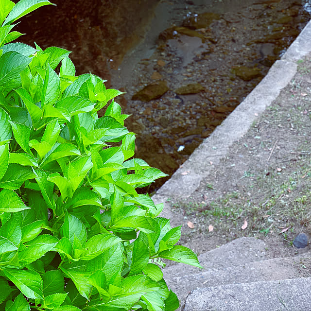 mika.nahoさんの実例写真