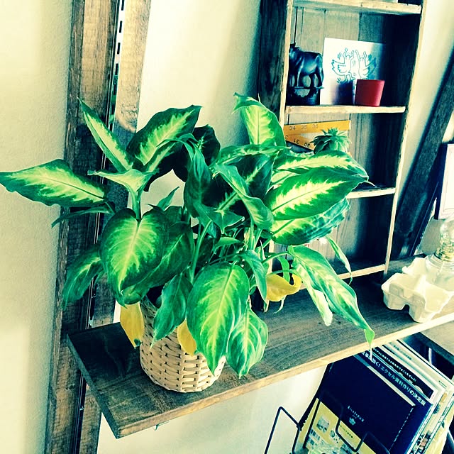 interior_yuさんの実例写真