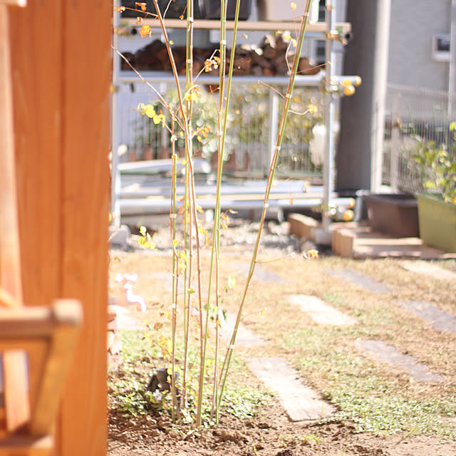 climbimg1009さんの実例写真