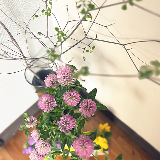 syutmmさんの部屋