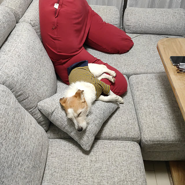 marosukeさんの実例写真
