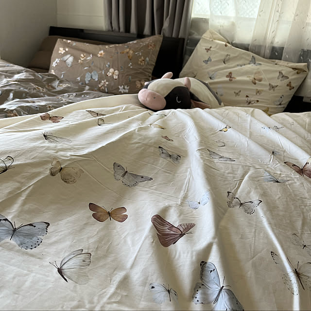 misoさんの実例写真