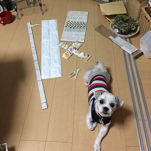 emiさんの実例写真
