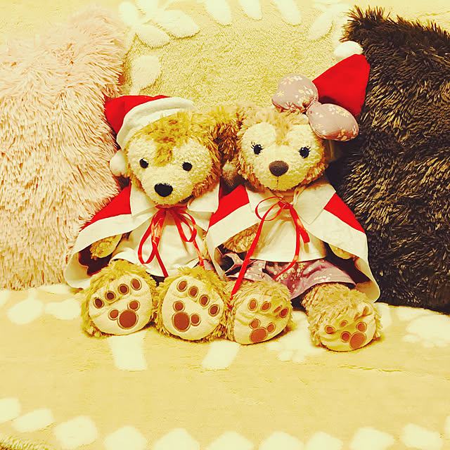 bebe_tanatosuさんの実例写真