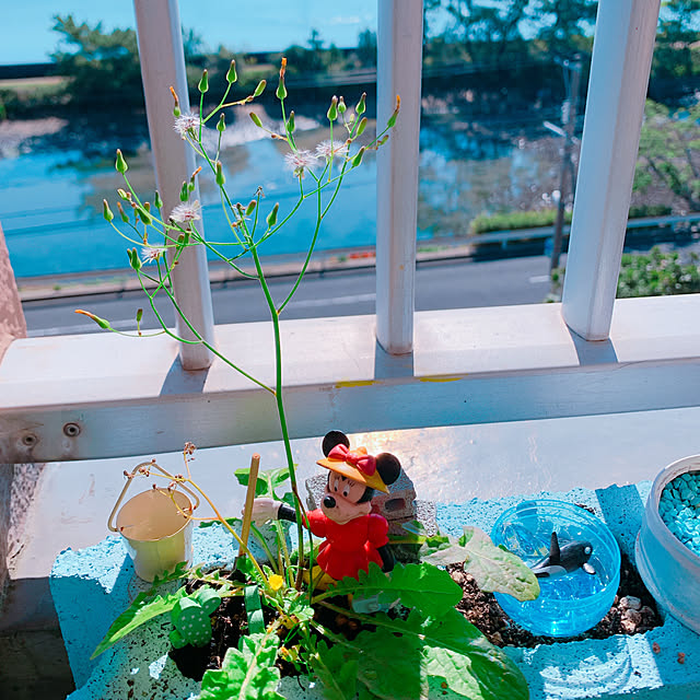 totoさんの実例写真