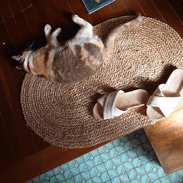 fukuさんの実例写真