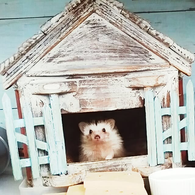 kuruさんの実例写真