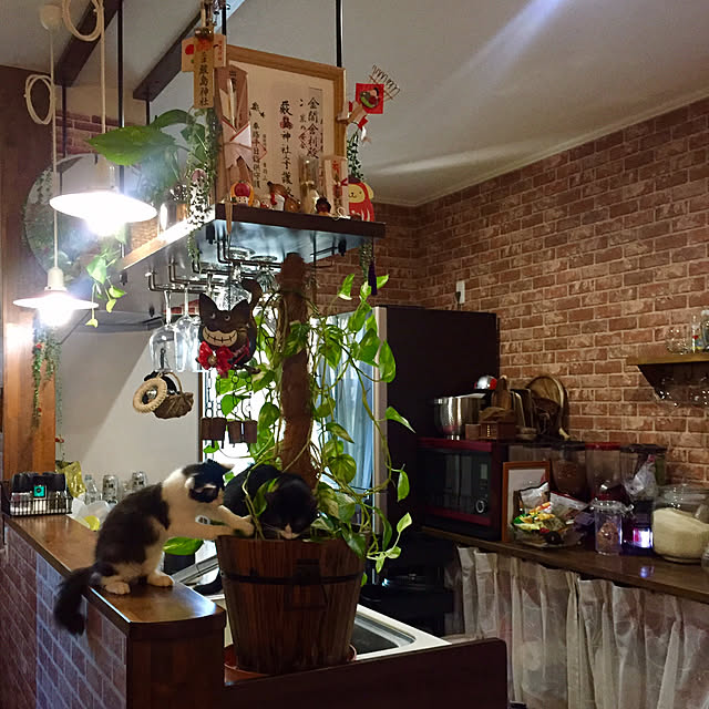butachanさんの実例写真