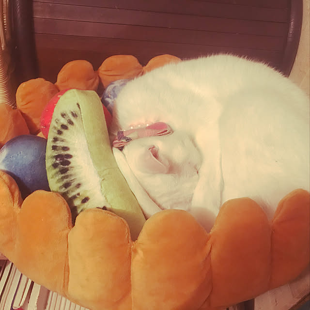 miさんの実例写真