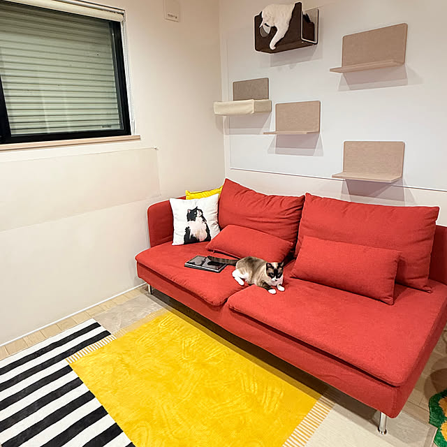 imomusiさんの実例写真