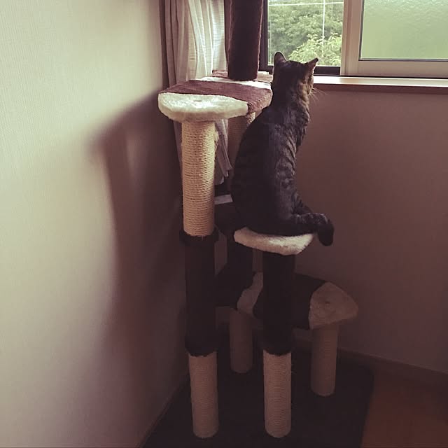 konnakanjiさんの実例写真