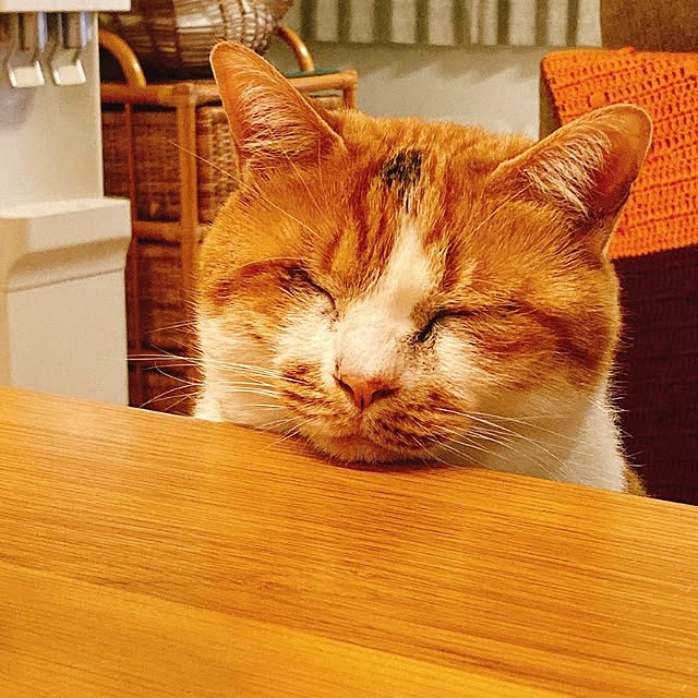 mariさんの実例写真