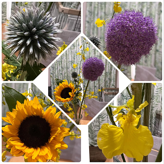 melmelさんの実例写真