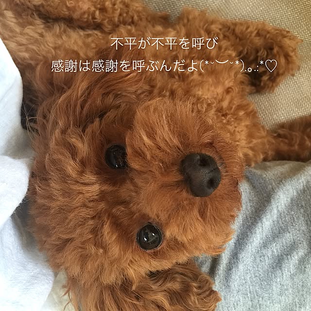 cherryさんの実例写真