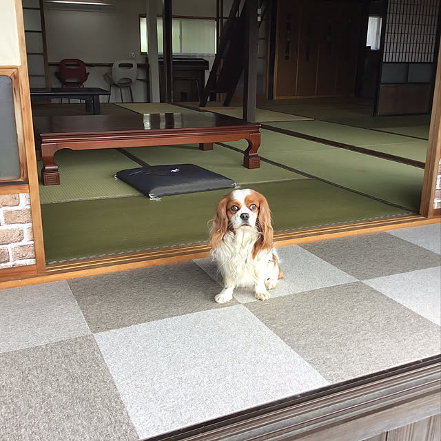 部屋全体のインテリア実例 - 2019-04-22 15:58:58