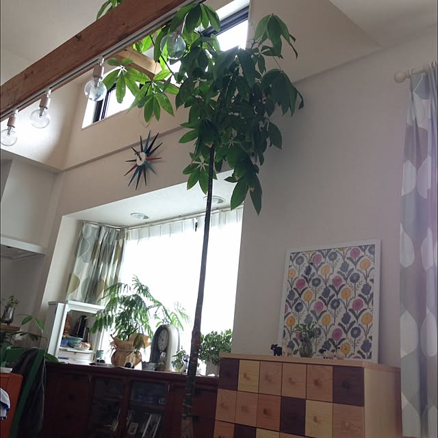 hiromayu1120さんの実例写真