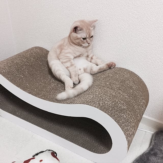 maさんの実例写真