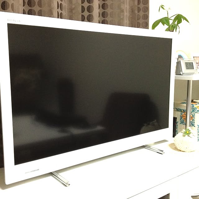 TAKARAv0_0vさんの実例写真