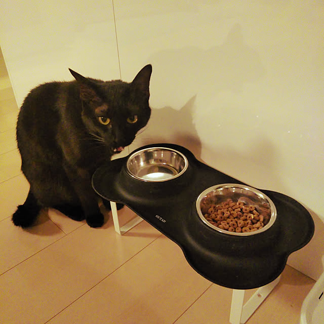 toroankoさんの実例写真
