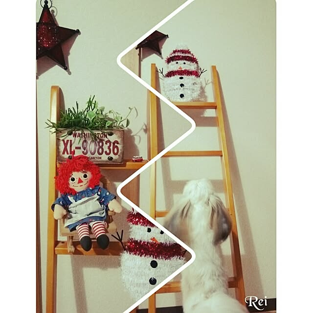 Reiさんの実例写真