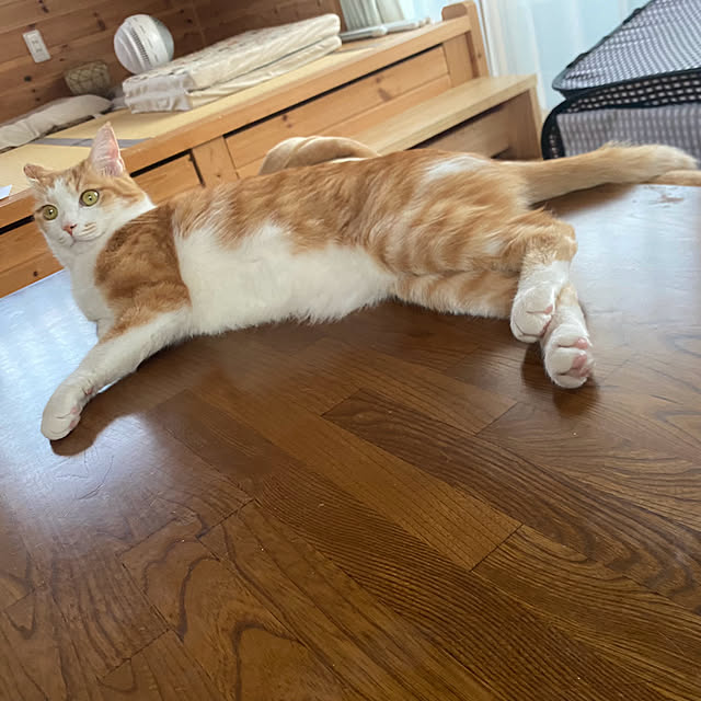 senbei.sakuramochiさんの実例写真