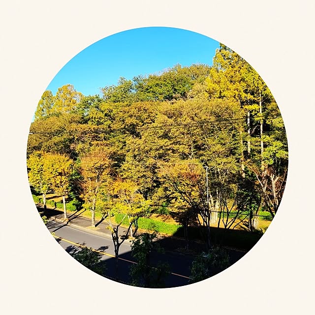 monさんの部屋