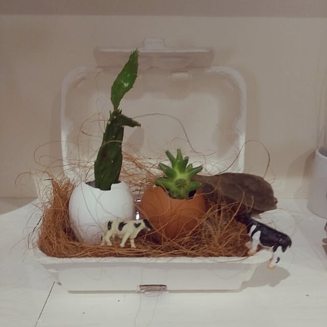 ikt.tamaさんの実例写真