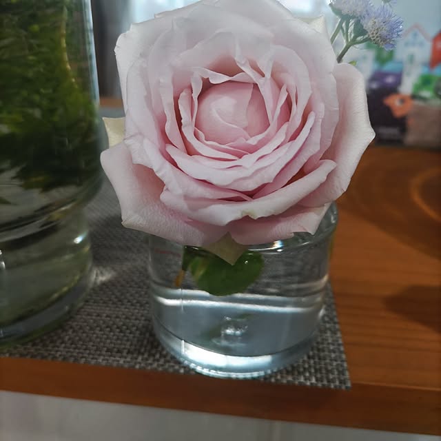 salacocoさんの部屋