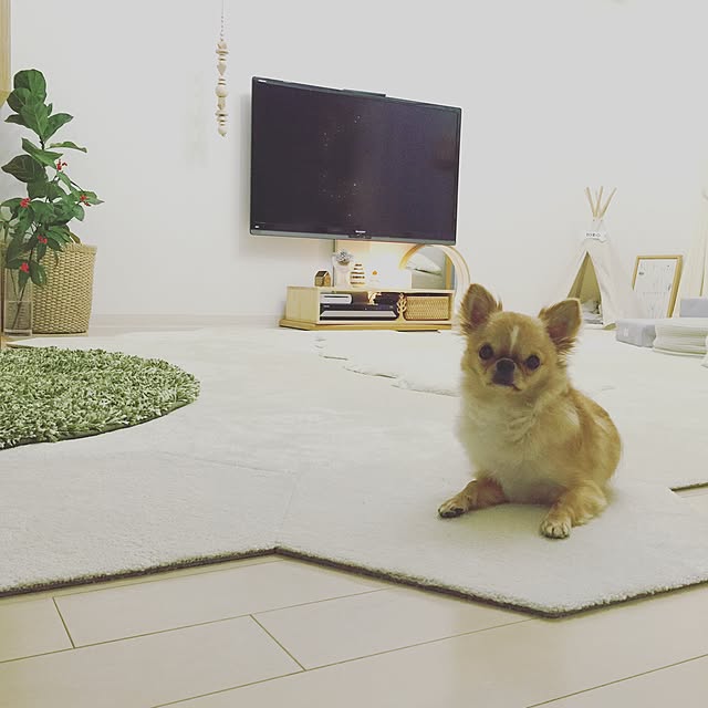 haruhinaさんの実例写真