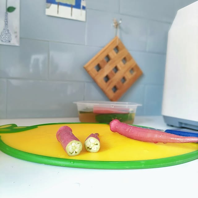 Haさんの部屋