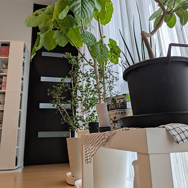 naoさんの部屋