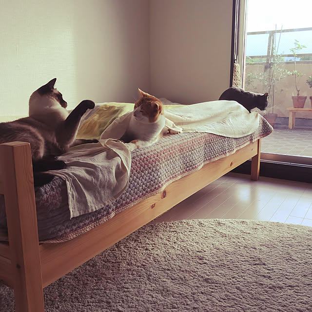 73さんの実例写真