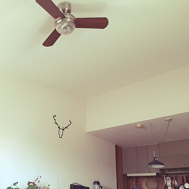 Yukiさんの実例写真