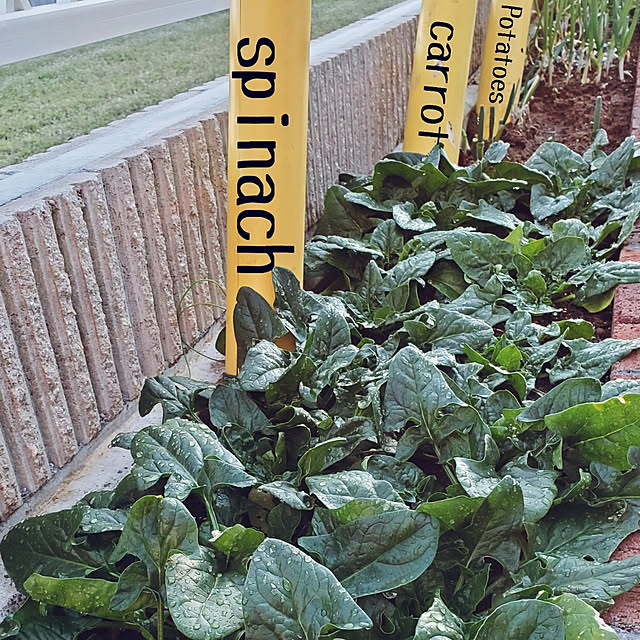 __smile.s__さんの実例写真