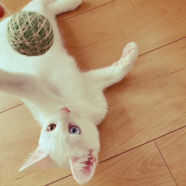 tkmnさんの実例写真